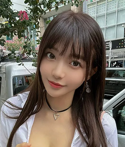 雾港追凶 悬疑剧全集免费在线观看